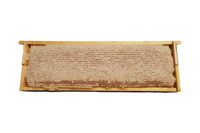 Φυσική Κηρήθρα Μελιού σε πλαίσιο - Image 4